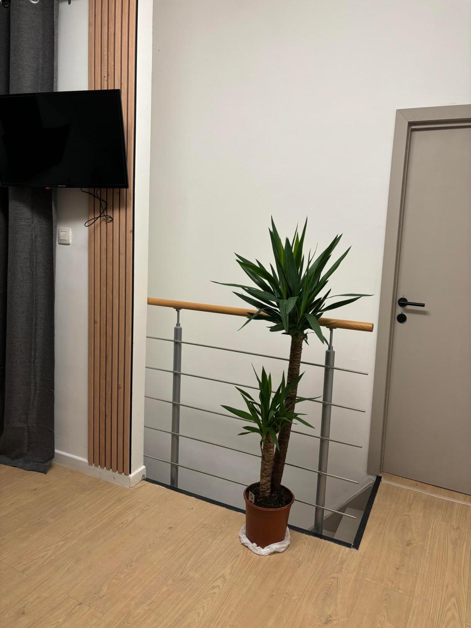 Ubuntu House - Charleroi